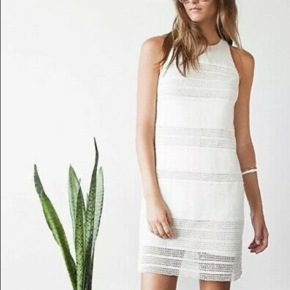New! LOFT Lace Dress